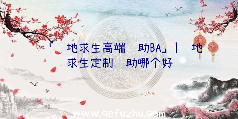 「绝地求生高端辅助BA」|绝地求生定制辅助哪个好